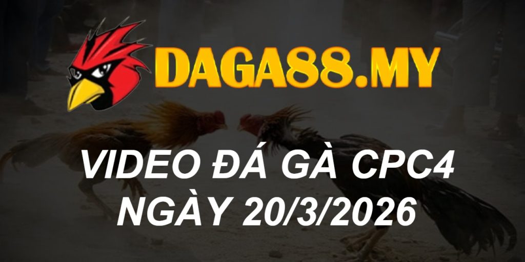 VIDEO GÀ CPC4 NGÀY 20/3/2026