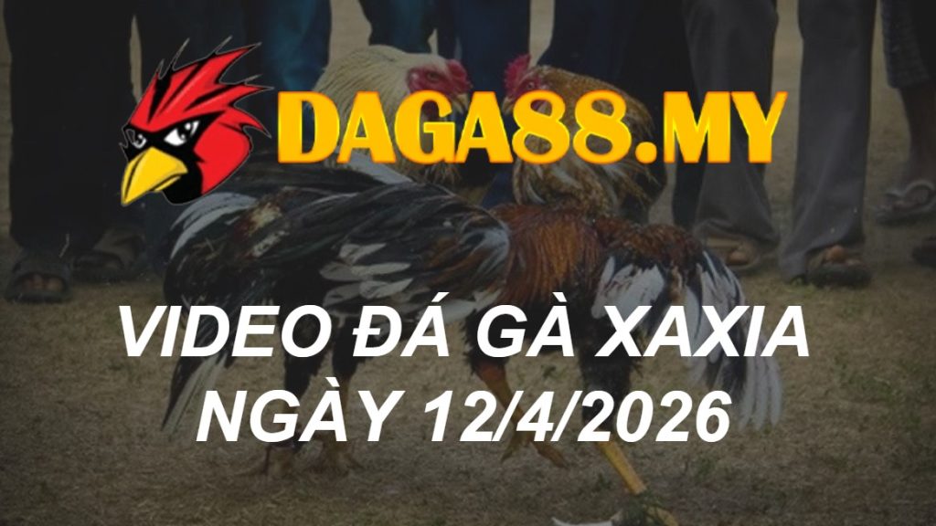 VIDEO GÀ XAXIA NGÀY 12/4/2026